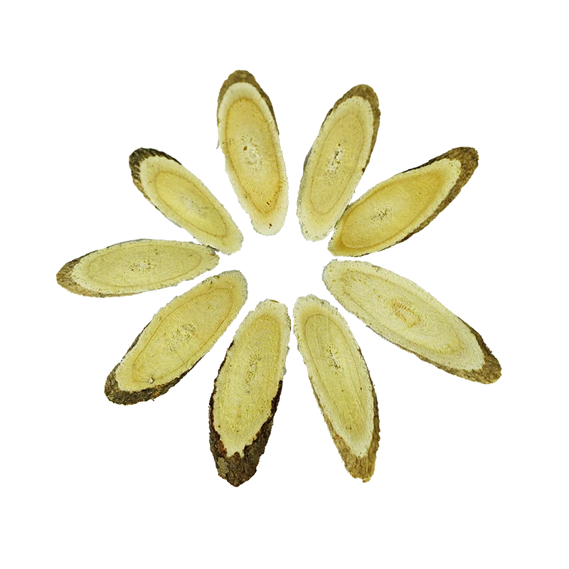 北芪切片 01